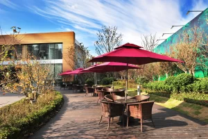 Популярные продукты бамбука